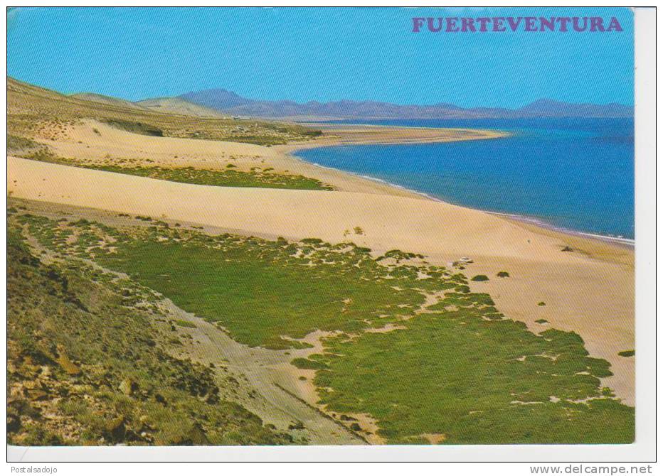 (CANA166) FUERTEVENTURA. DUNAS. DUNES - Fuerteventura