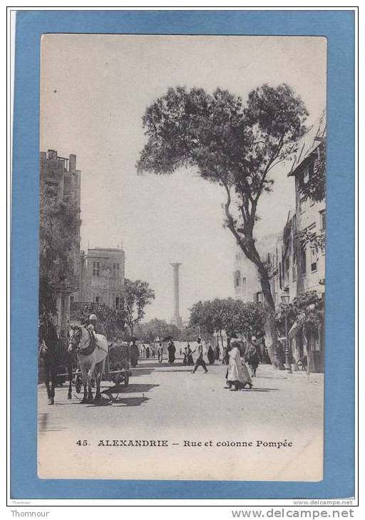 ALEXANDRIE  -  Rue  Et  Colonne  Pompée   -  BELLE CARTE  ANIMEE  - - Alexandria