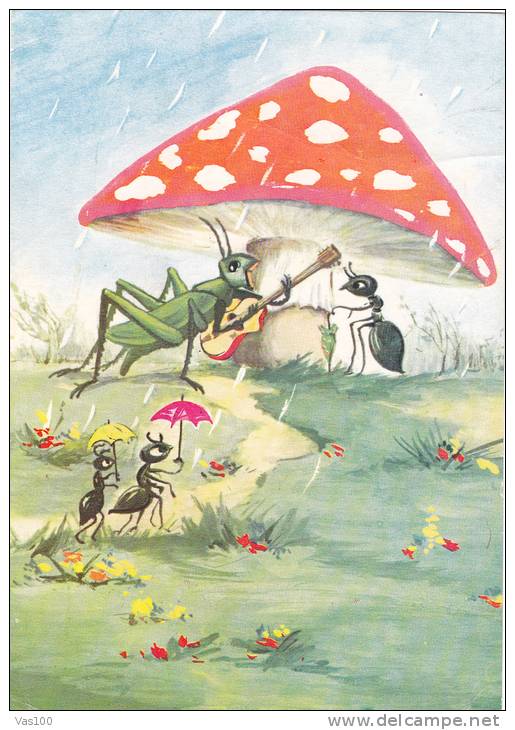 INSECTS, MUSHROOMS, CHAMPIGNONS, 1970, CARD STATIONERY, ENTIER POSTAL, SENT TO MAIL, ROMANIA - Andere & Zonder Classificatie