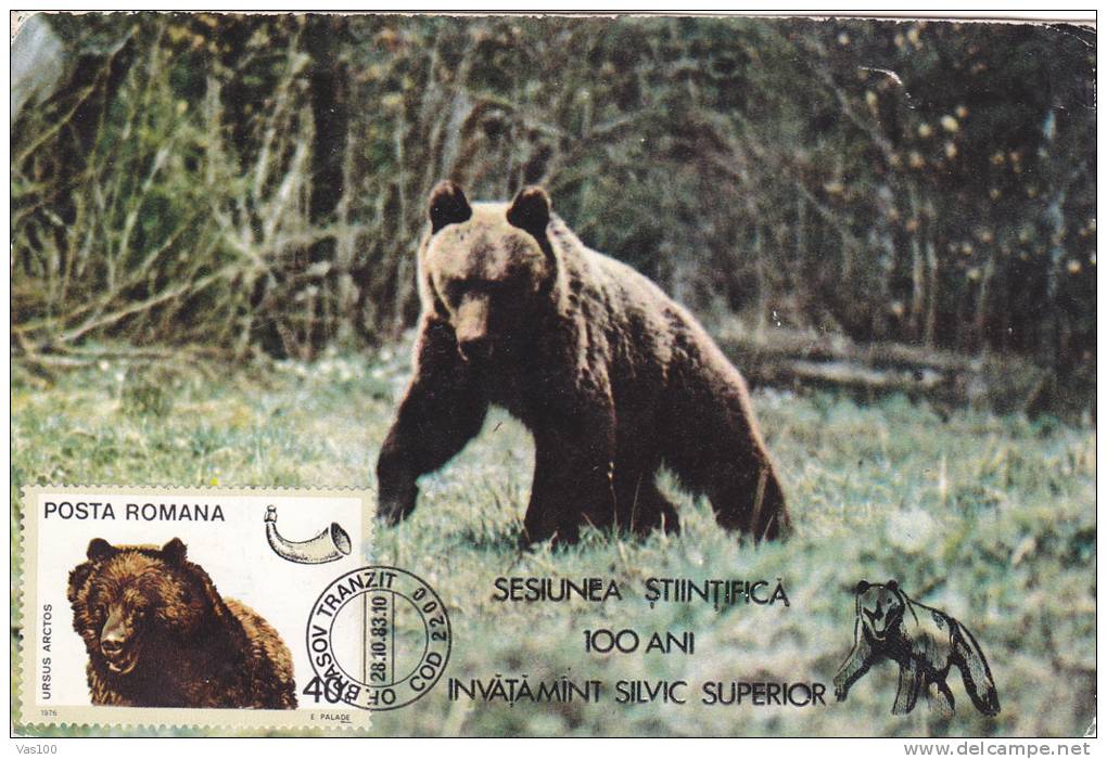 BEAR, OURS, FOREST, 1983, CM. MAXI CARD, CARTES MAXIMUM, ROMANIA - Orsi