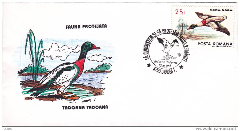 CYGNE, 1994, SPECIAL COVER, OBLITERATION CONCORDANTE, ROMANIA - Swans