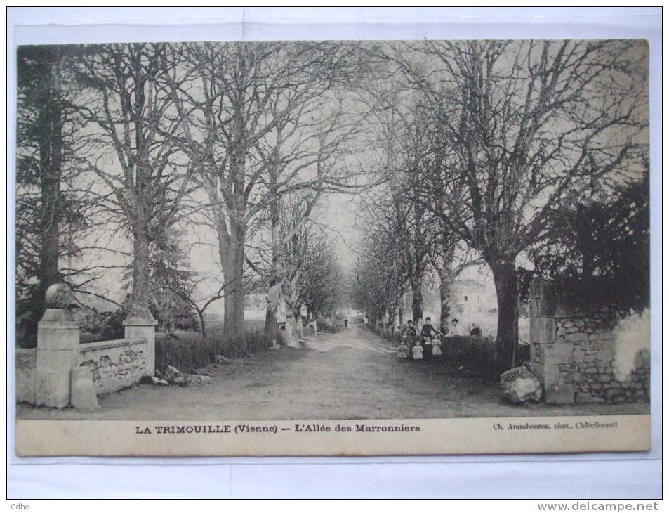 86 - BB -  LA TRIMOUILLE - L'ALLEE DES MARRONNIERS (ANIMEE ) - La Trimouille