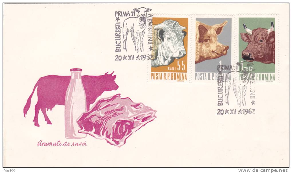 COWS, CACHES, ANIMALS, MEAT, MILK, 1962, COVER FDC, ROMANIA - Vaches