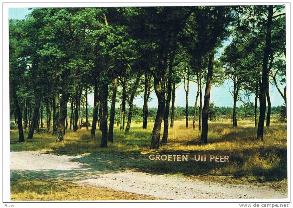 B3807     PEER : Groeten Uit (1) - Peer