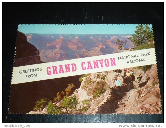 GREETING FROM GRAND CANYON - NATIONAL PARK - OURS SMOKEY - STAMP KENNEDY - ETATS-UNIS .U.S.A. - Grand Canyon