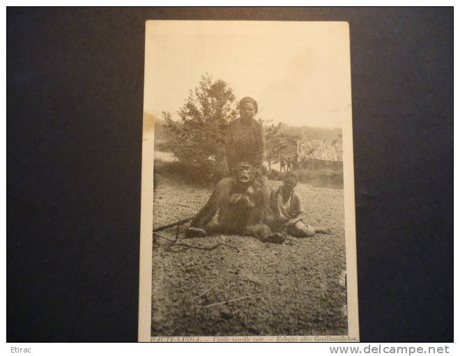 CPA Congo - Haute-Sangha. Cameroun Allemand. Vieille Gorille Tuée (Chasse ; Environnement ; Faune) - Centraal-Afrikaanse Republiek