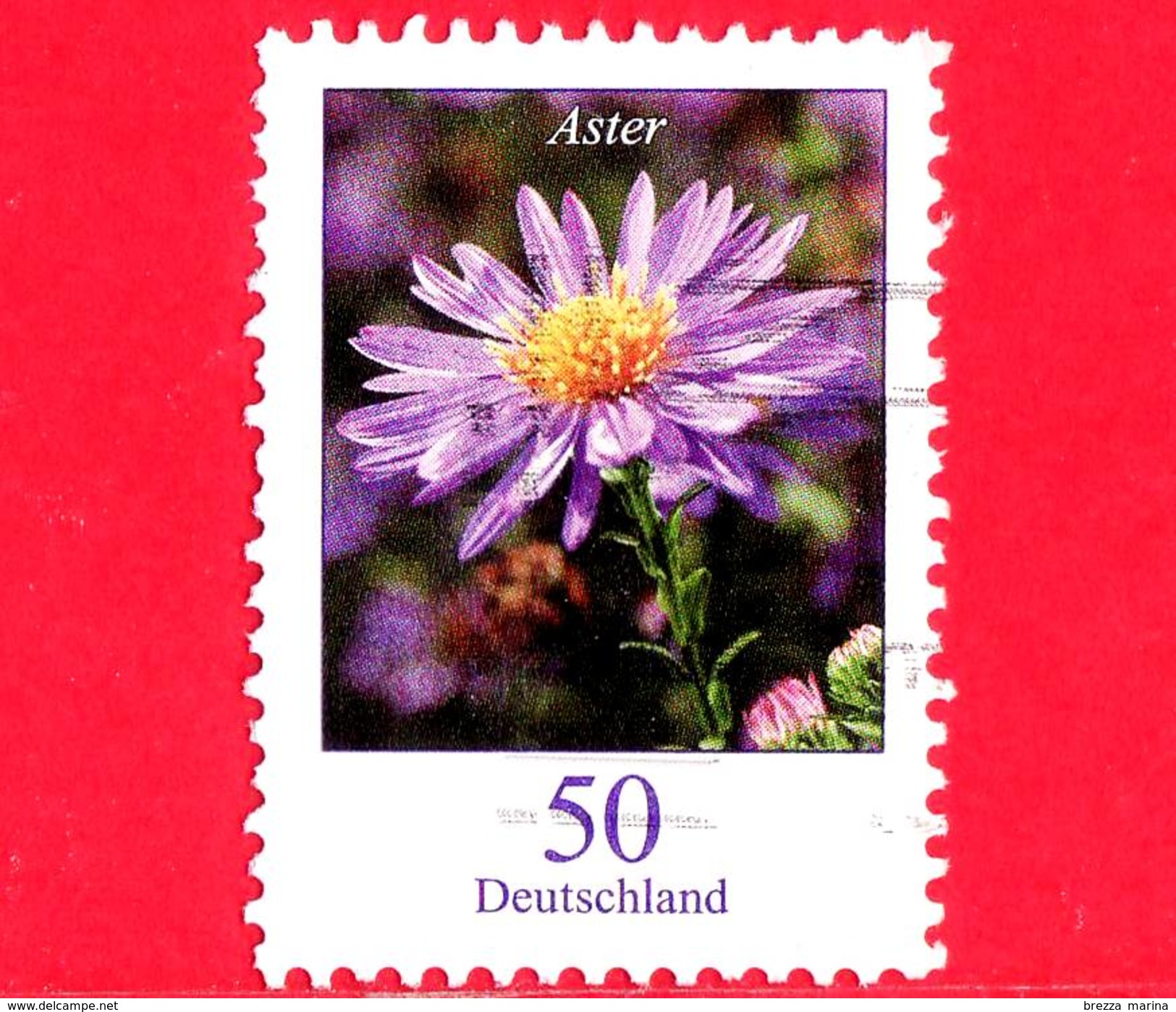 GERMANIA - Usato - 2005 - Fiori - Flowers - Autumn Aster - 50 - Usados