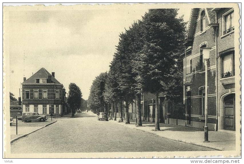 Beerse : Lindenlaan - Beerse