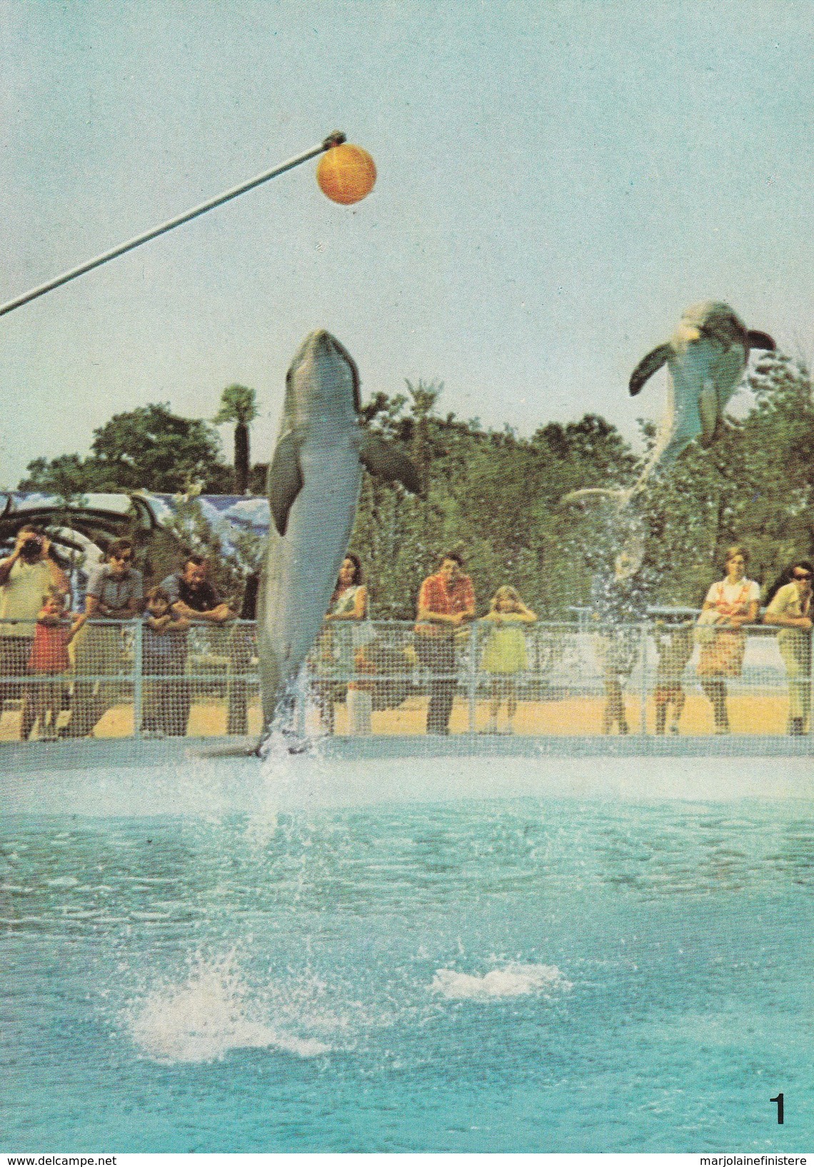 MARINELAND - Dauphins "Lucky Et Splash". Ed. Mic Max N° 1 - Other & Unclassified