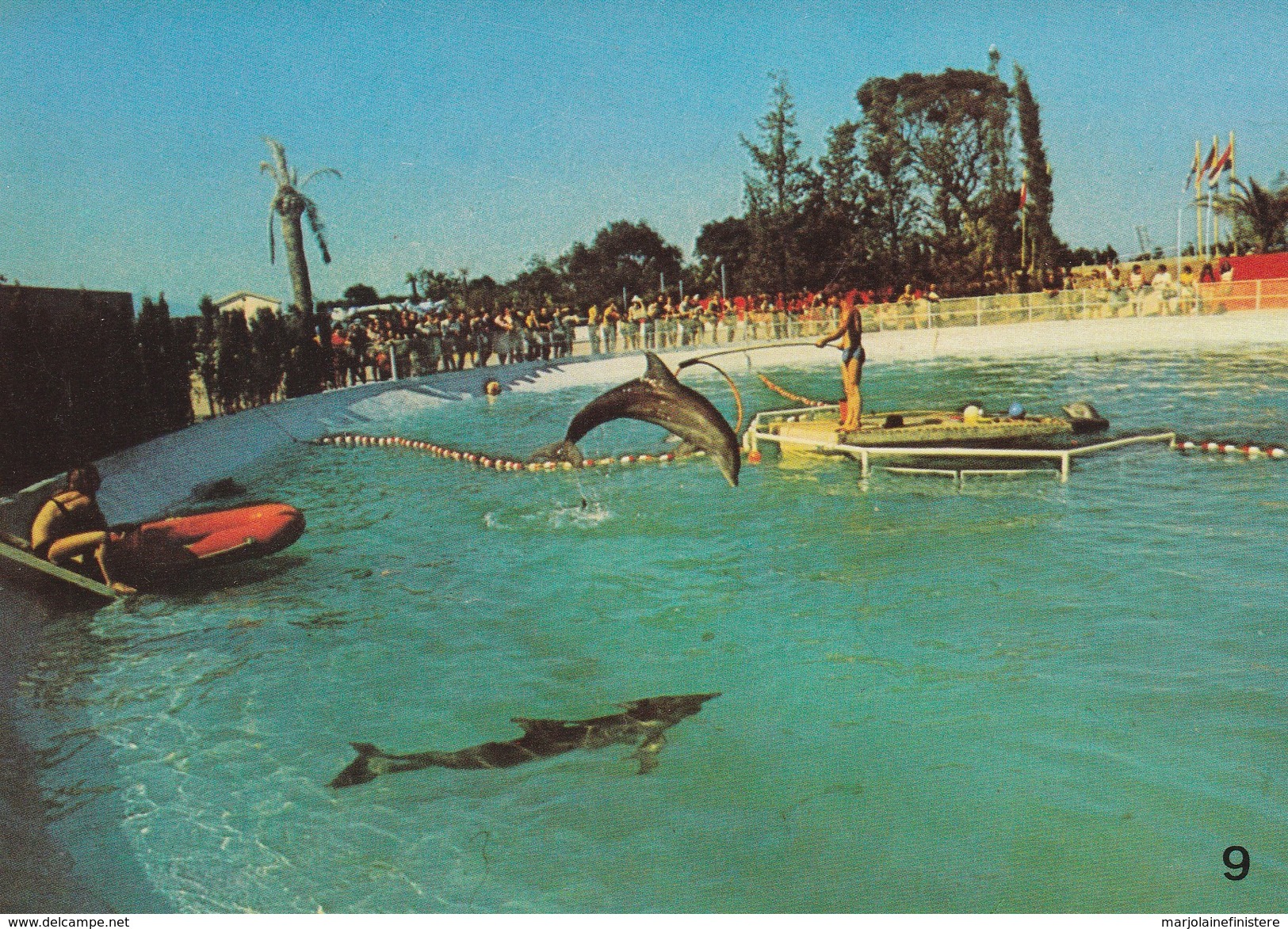 MARINELAND - Dauphin "Splash" Sautant. Ed. Mic Max N° 9 - Autres & Non Classés