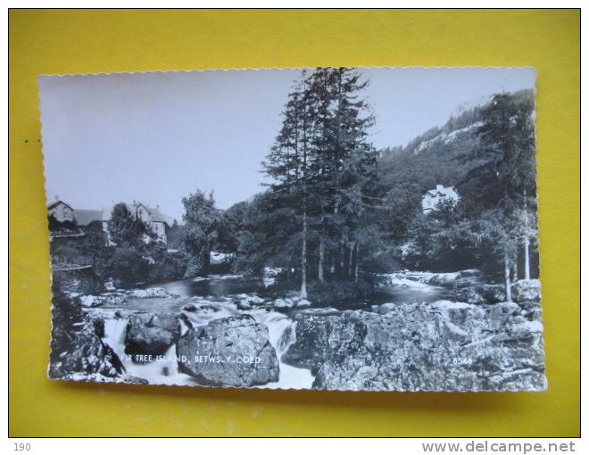 FIR TREE ISLAND,Betws-y-Coed - Other & Unclassified
