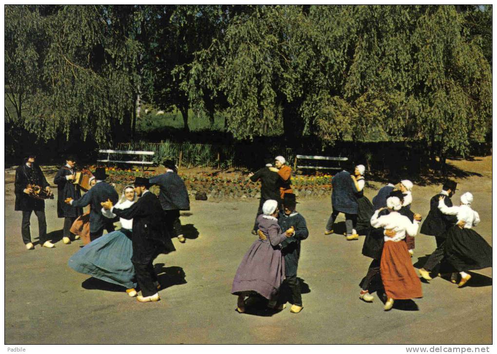 Carte Postale 58. Brinon-sur-Beuvron Et Chatillon-en-Bazois   Groupe Folklorique "Les Saboteux" Très Beau Plan - Brinon Sur Beuvron