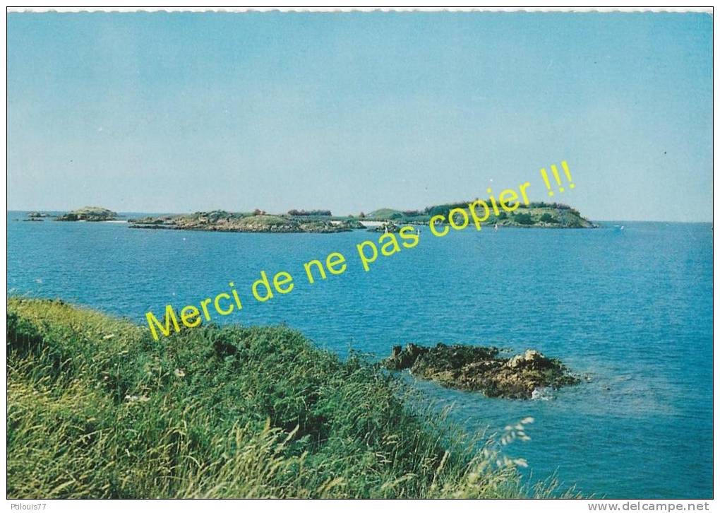Saint Jacut De La Mer - L'ile Des Ebihens CPSM - Saint-Jacut-de-la-Mer