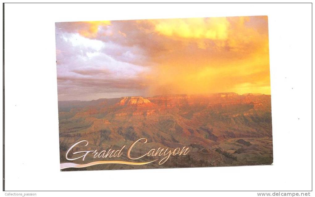 CP, USA, AZ, Grand Canyon, Lipan Point, 2010, Voyagée - Gran Cañon