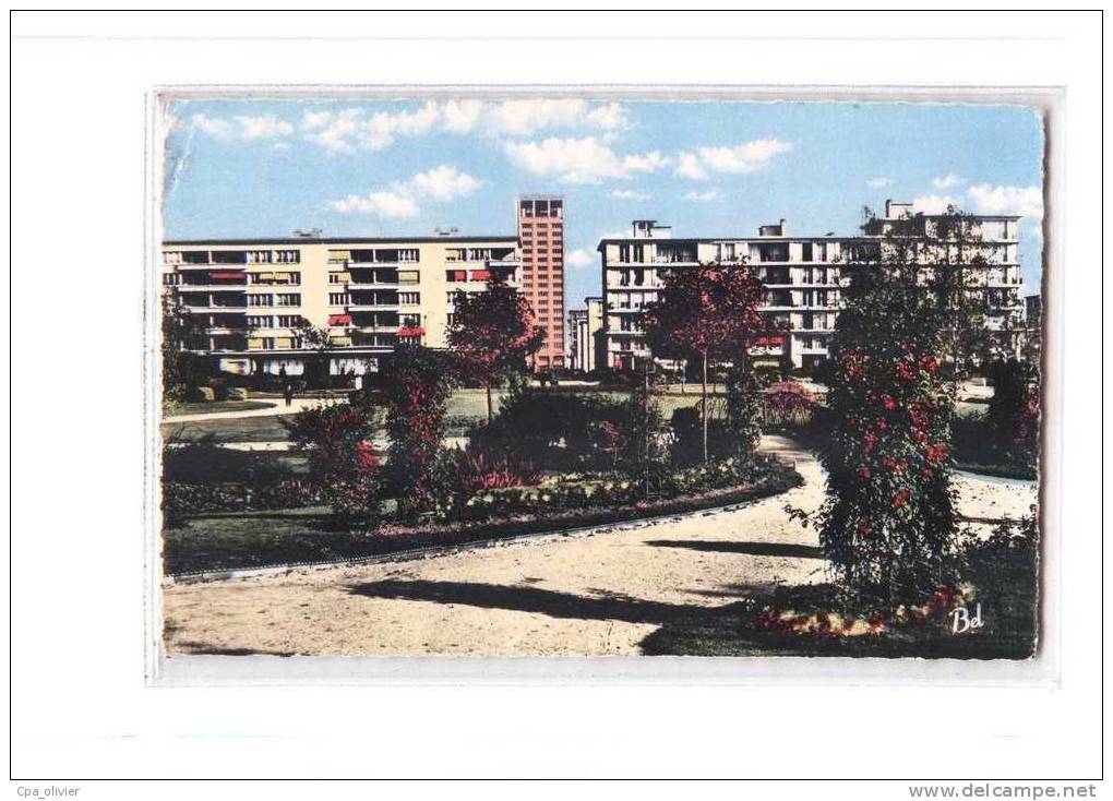 76 LE HAVRE Tour De L'Hotel De Ville, Vue Prise Du Jardin St Roch, Ed Bellevues 115, CPSM 9x14, 1960 - Saint-Roch (Plein)