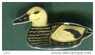 PIN'S CANARD - Animaux