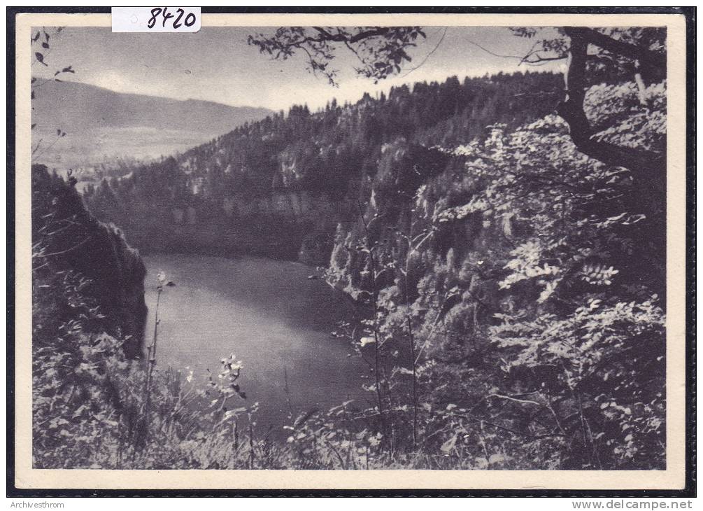 Le Doubs - Envoyée De Peseux En 1940 ; Grand Format 10 / 15 (8420) - Peseux