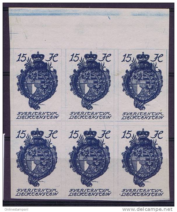 Liechtenstein Nr 19 Block Of 6 Imperforated MNH, With Sheetmargin - Oblitérés