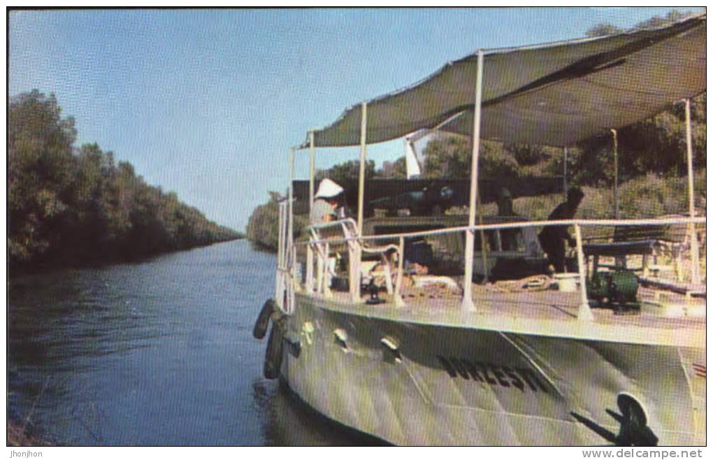 Romania-Postcard 1968- The Danube Delta-Passenger The Ship Borzesti - Dampfer