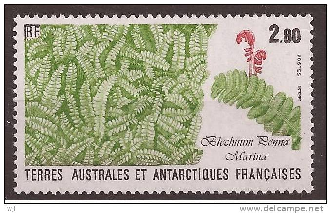 TAAF Y&T N°143 - 1989 - Neuf - Blechnum Penna Marina - Unused Stamps