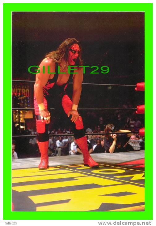 SPORTS, WRESTLING - LUTTE - CATCH - STING - WCW/NWO - 1998 SUPERSTARS - No 17  - - Worstelen