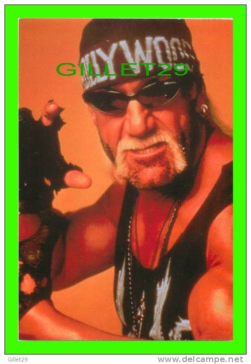 SPORTS, WRESTLING - LUTTE - CATCH - HULK HOGAN - WCW/NWO - 1998 SUPERSTARS - No 27 - - Lutte