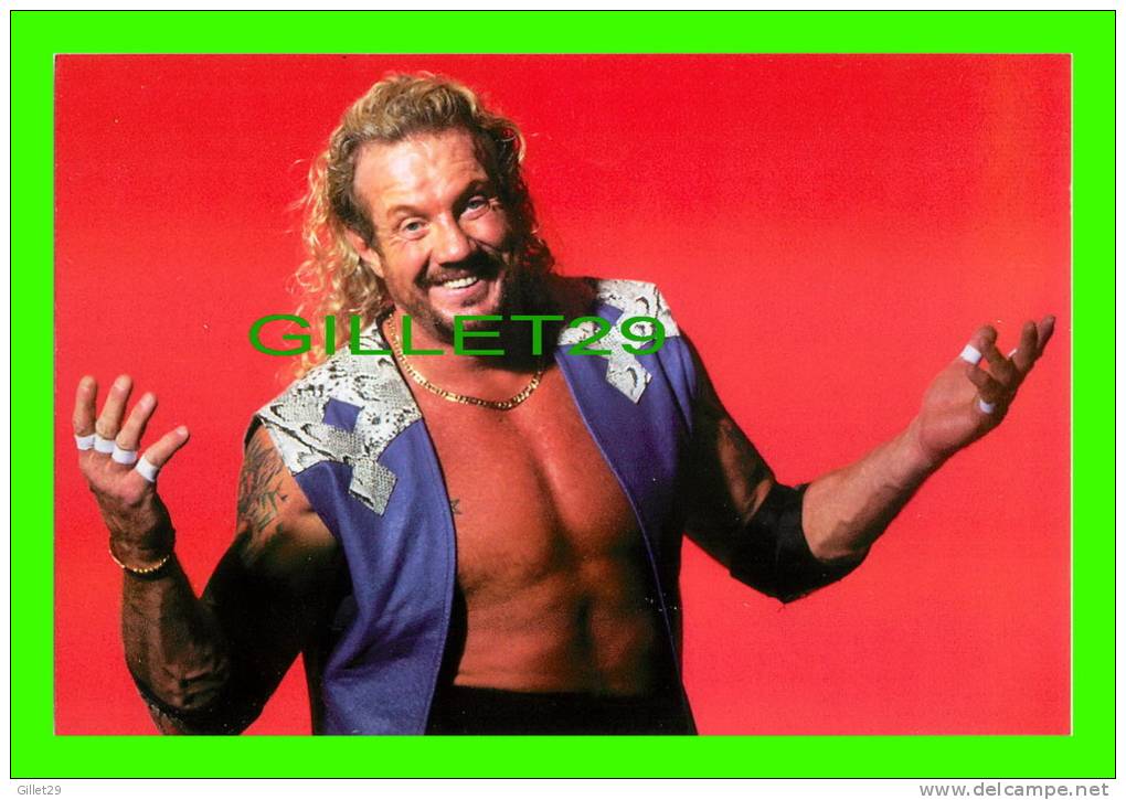 SPORTS, WRESTLING - LUTTE - CATCH - DIAMOND DALLAS PAGE - WCW/NWO - 1998 SUPERSTARS - No 33 - - Worstelen