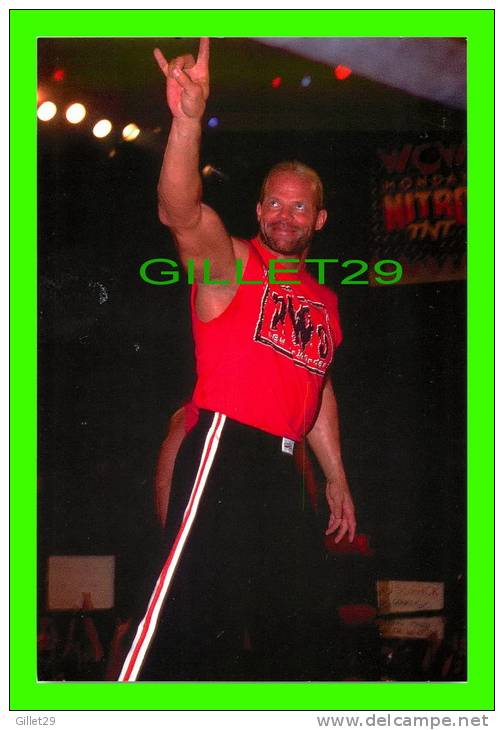 SPORTS, WRESTLING - LUTTE - CATCH - LEX LUGGER - WCW/NWO - 1998 SUPERSTARS - No 52 - - Lutte