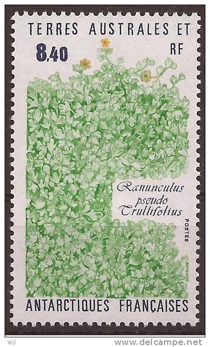 TAAF Y&T N°154 - 1991 - Neuf - Flore - Ranuncullus Trullifolius - Ongebruikt