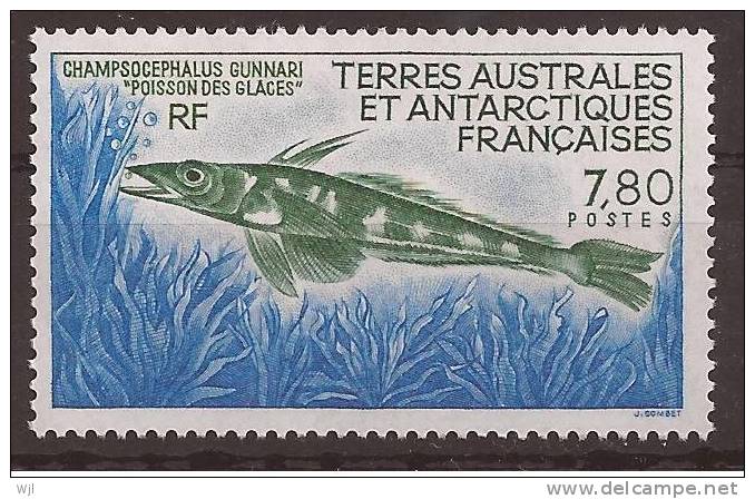 TAAF Y&T N°161 - 1991 - Neuf - Poisson Des Glaces : Champsocephalus Gunnari - Neufs