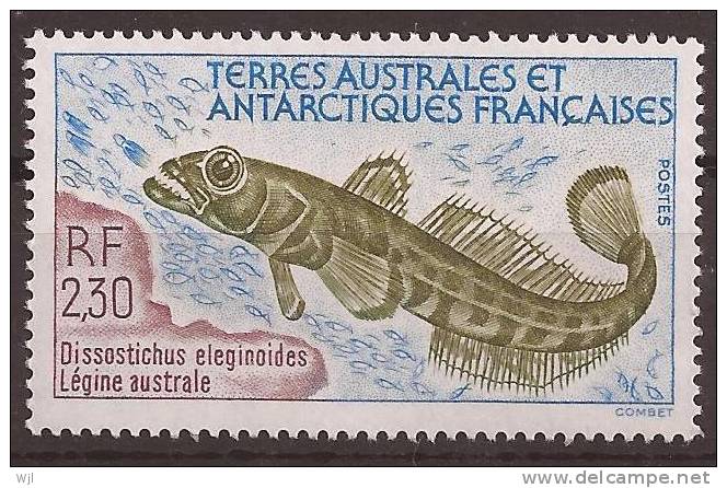 TAAF Y&T N°166 - 1992 - Neuf - Légine Australe : Dissostichus Eleginoides - Ongebruikt