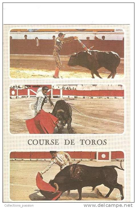 CP, Course De Toros, Une Paire De Banderilles, Passe De Muleta Et Un Derechazo, écrite - Corridas