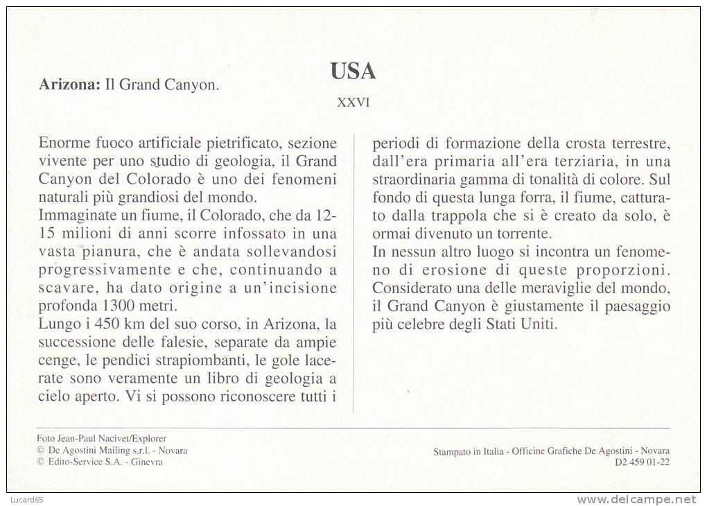 POSTCARD/ CARTE POSTALE / CARTOLINA U.S.A. ARIZONA  IL GRAND CANYON - Grand Canyon