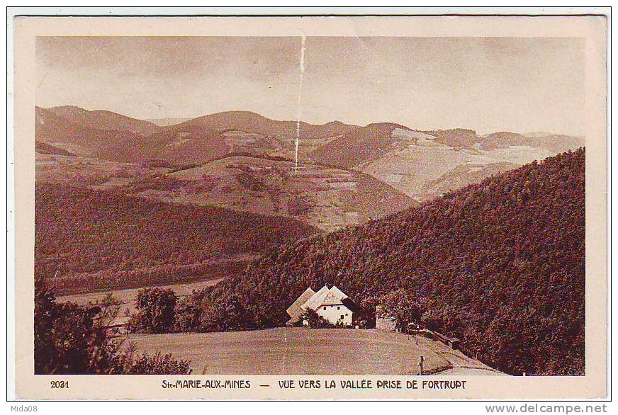 68. SAINTE MARIE AUX MINES. VUE VERS LA VALLEE PRISE DE FORTRUP. Edition BRAUN - Sainte-Marie-aux-Mines