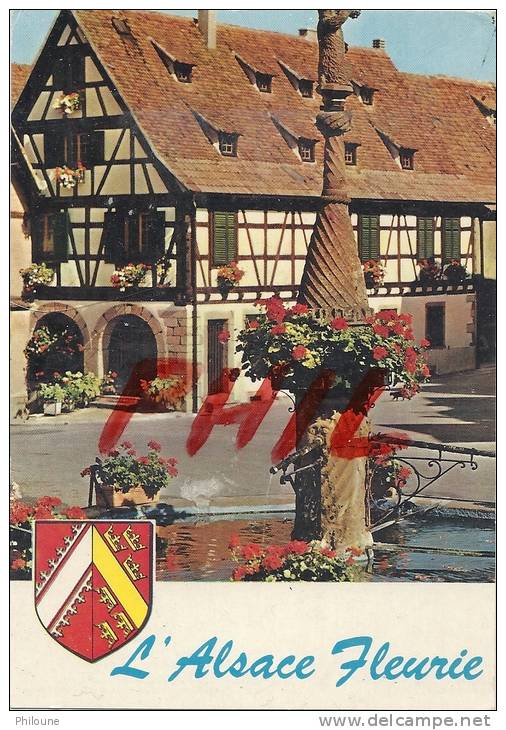 L´Alsace Fleurie - Dambach-la-Ville, Ref 1203-185/86 - Dambach-la-ville