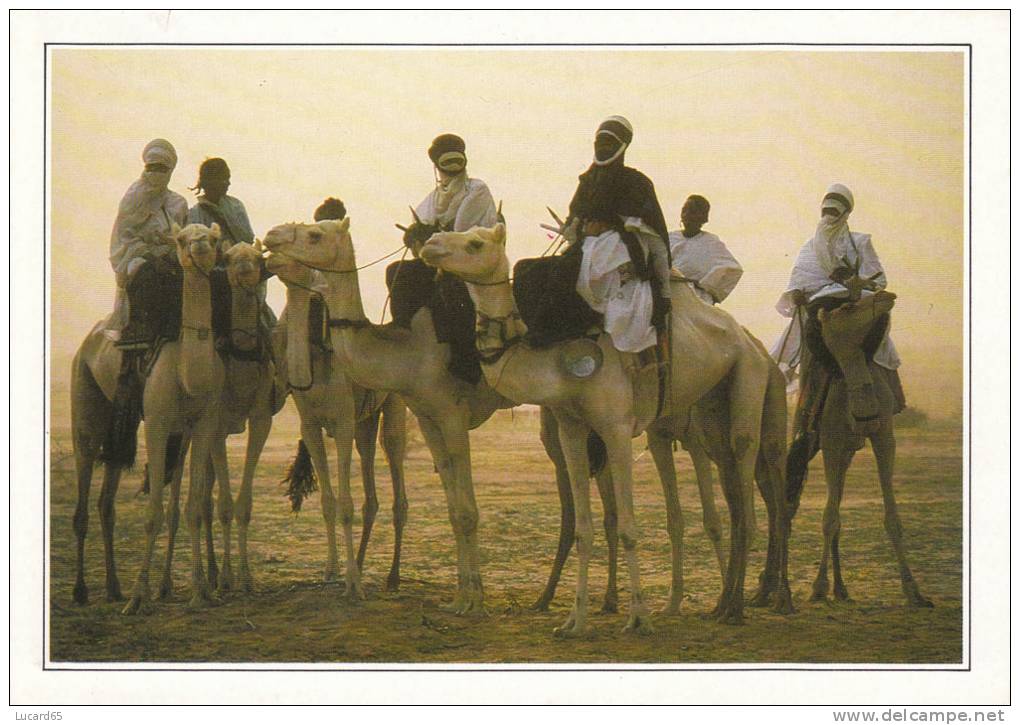 POSTCARD/ CARTE POSTALE / CARTOLINA NIGER - TEGUIDDA I-N-TESSOUM - Niger