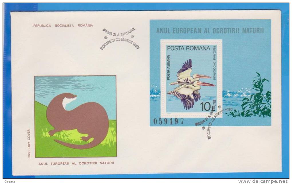 Danube Delta, Pelicans ROMANIA 1 X FDC First Day Cover 1980 Block - Pelikane