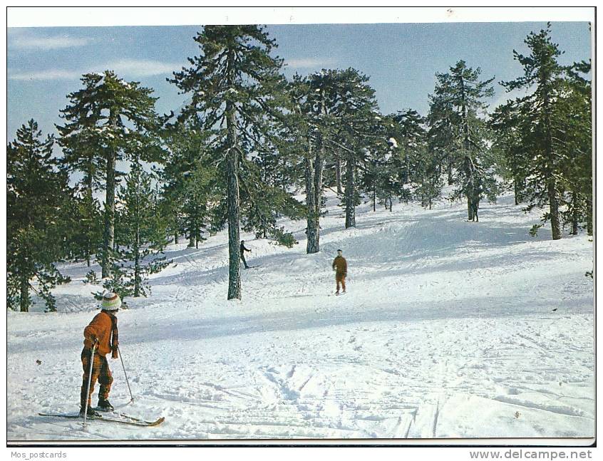 Sport - Ski-ing On Mt Troodos   MP572 - Winter Sports