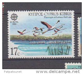 Chypre YV  652 N 1986 Flamant - Flamingos