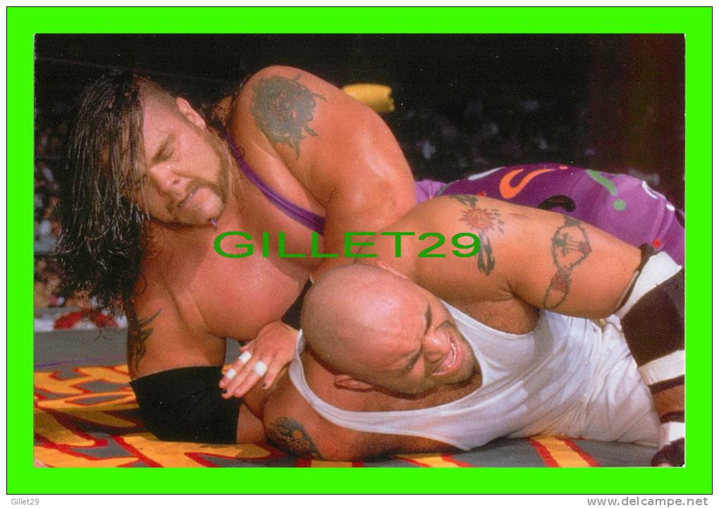 SPORTS, LUTTE - WRESTLING - CATCH - CONAN THE BARBARIAN - WCW/NWO - WWE - No 96 - - Worstelen