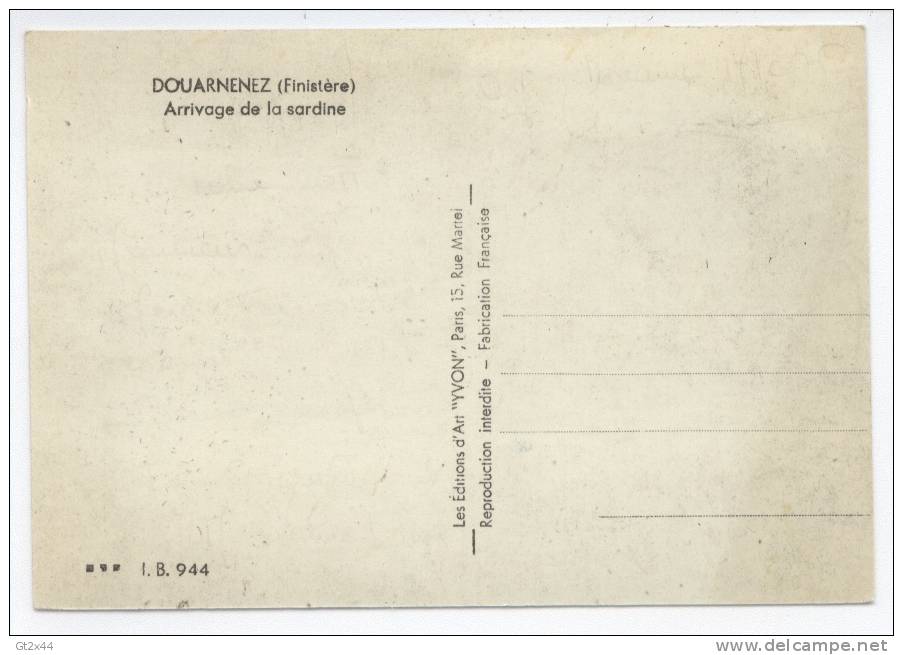 Douarnenez, Arrivage De La Sardine - Fischerei