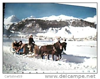 SLITTA  CON CAVALLI HORSE  SUISSE  CELERINA  VB1979 DR9618 - Taxi & Fiacre