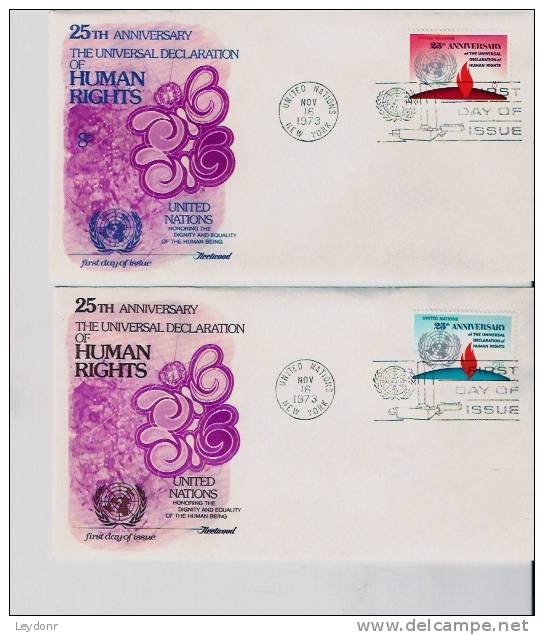 FDC's 25th Anniv. The Universal Declaration Of Human Rights - Scott # 242-243 - Other & Unclassified