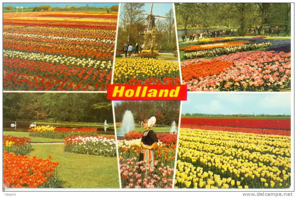 NETHERLANDS-HOLLAND IN BLOEMENTOO;FLOWERDECORATI ON;BLUMENSCHMUCK;EN PARURE DES FLEURS- CIRCULATED-1970 - Eindhoven