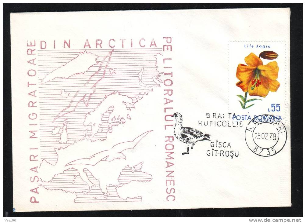 MIGRATORY BIRDS FROM ARCTICA, CYGNE, 1978, SPECIAL COVER, OBLITERATION CONCORDANTE, ROMANIA - Swans