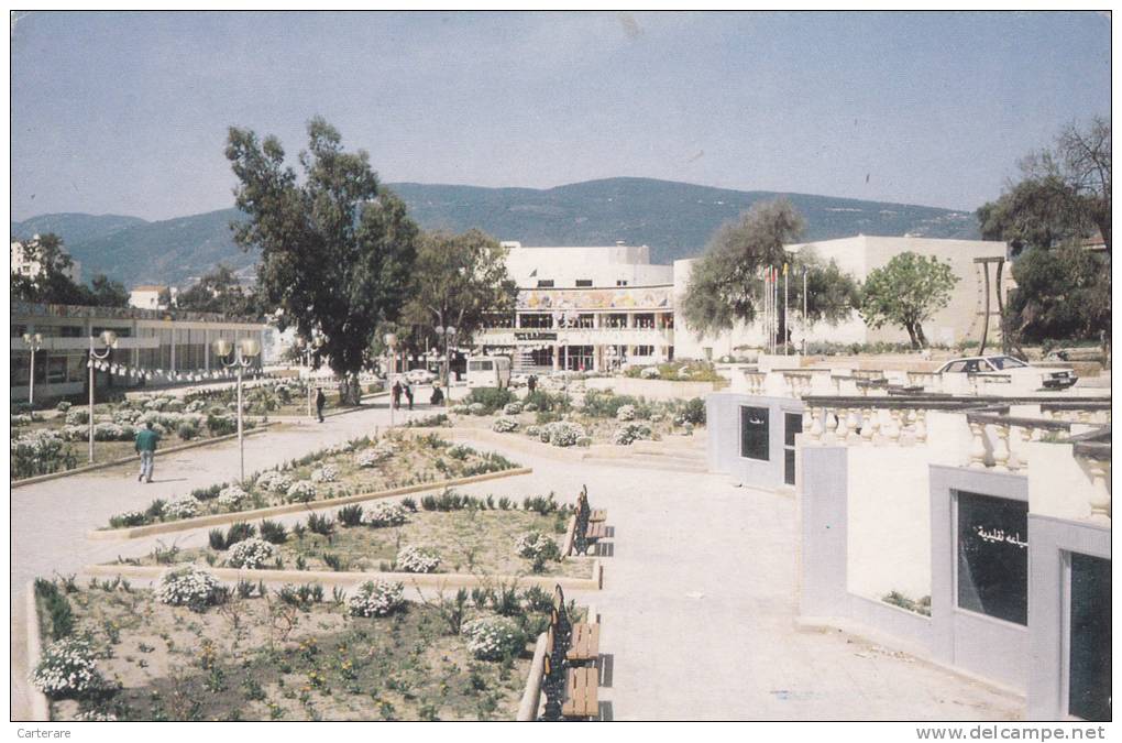 AFRIQUE DU NORD,FRANCE COLONIES,,BONE,ANNABA,ALGERIE,LA MAISON DE LA CULTURE - Annaba (Bône)