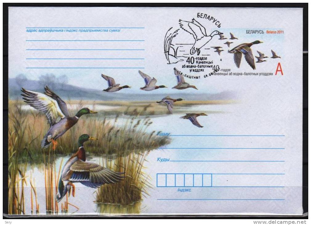 Belarus 2011 Postal Stationery Card   Duck Ducks Canard Canards Bird Birds Oiseau Oiseaux Vogel - Anatre