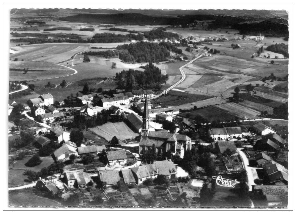 CPA RAON AUX BOIS  Vosges 88  Vue Generale           -O- - Autres & Non Classés