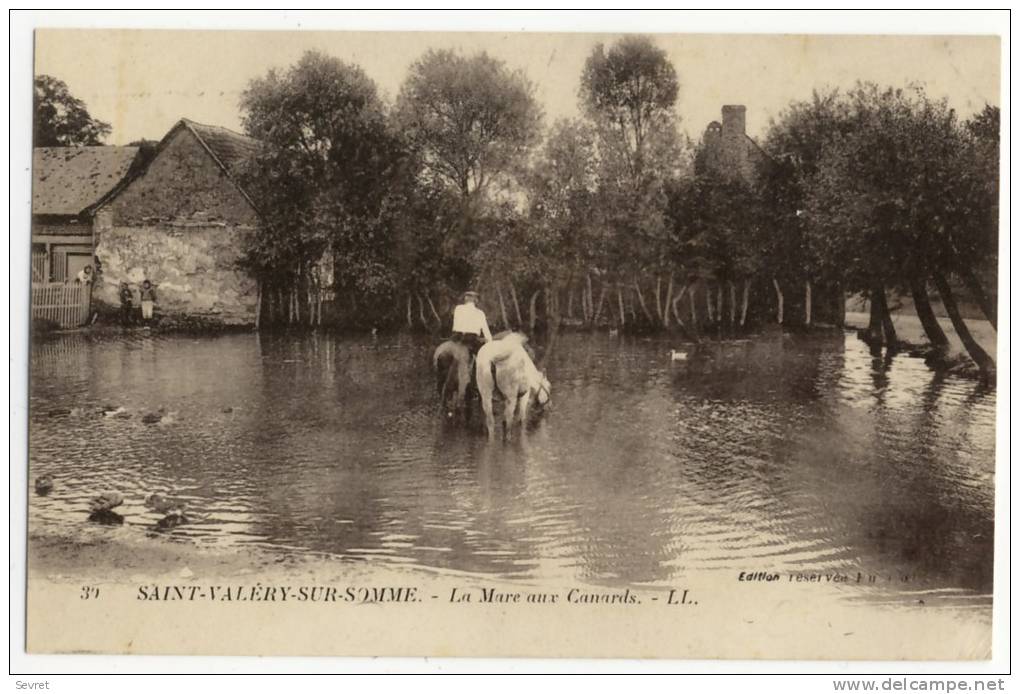 SAINT VALERY SUR SOMME. - La Mare Aux Canards - Saint Valery Sur Somme