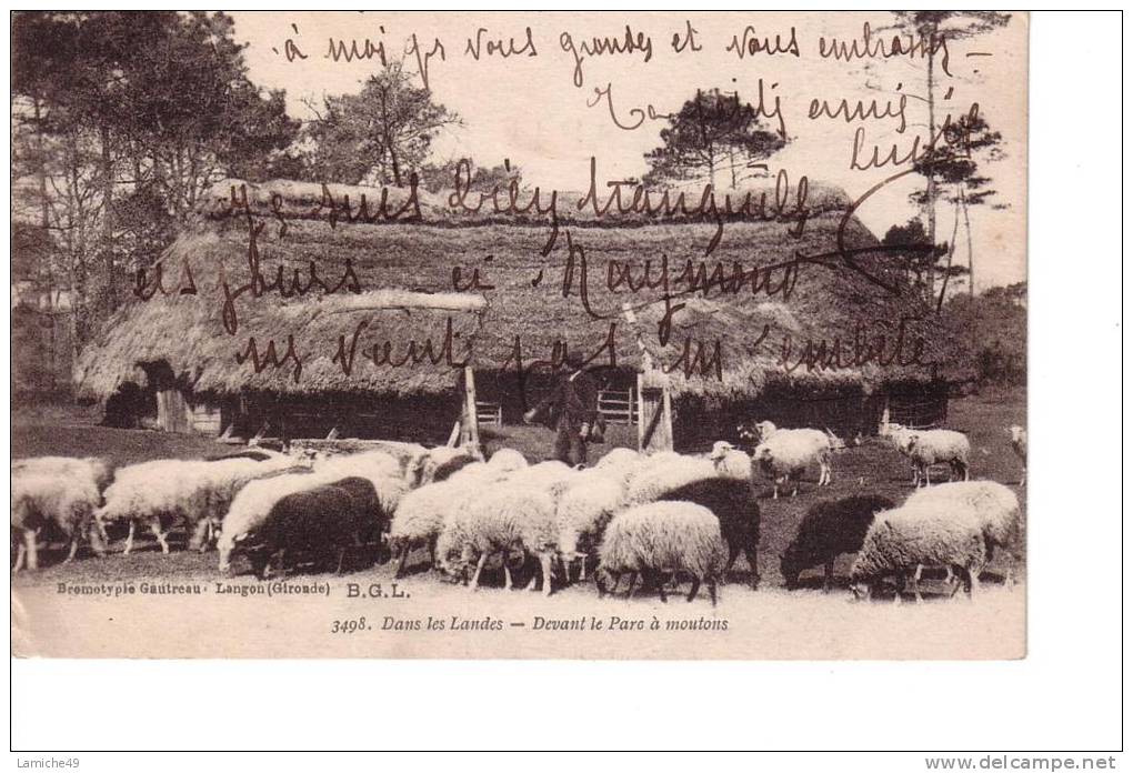 LANDES  Dans Les Landes Devant Le Parc à Moutons ( Bergerie , Berger , Mouton ) - Aquitaine